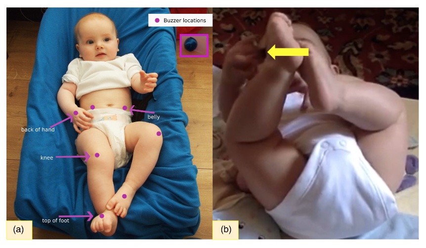 Tactile training facilitates infants' ability to reach to targets on the body