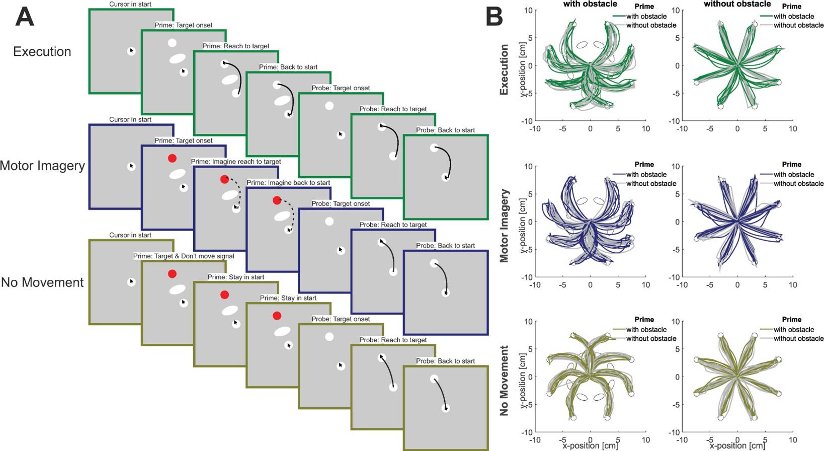 Distinct contributions of motor imagery and execution to history-dependent biases in reaching