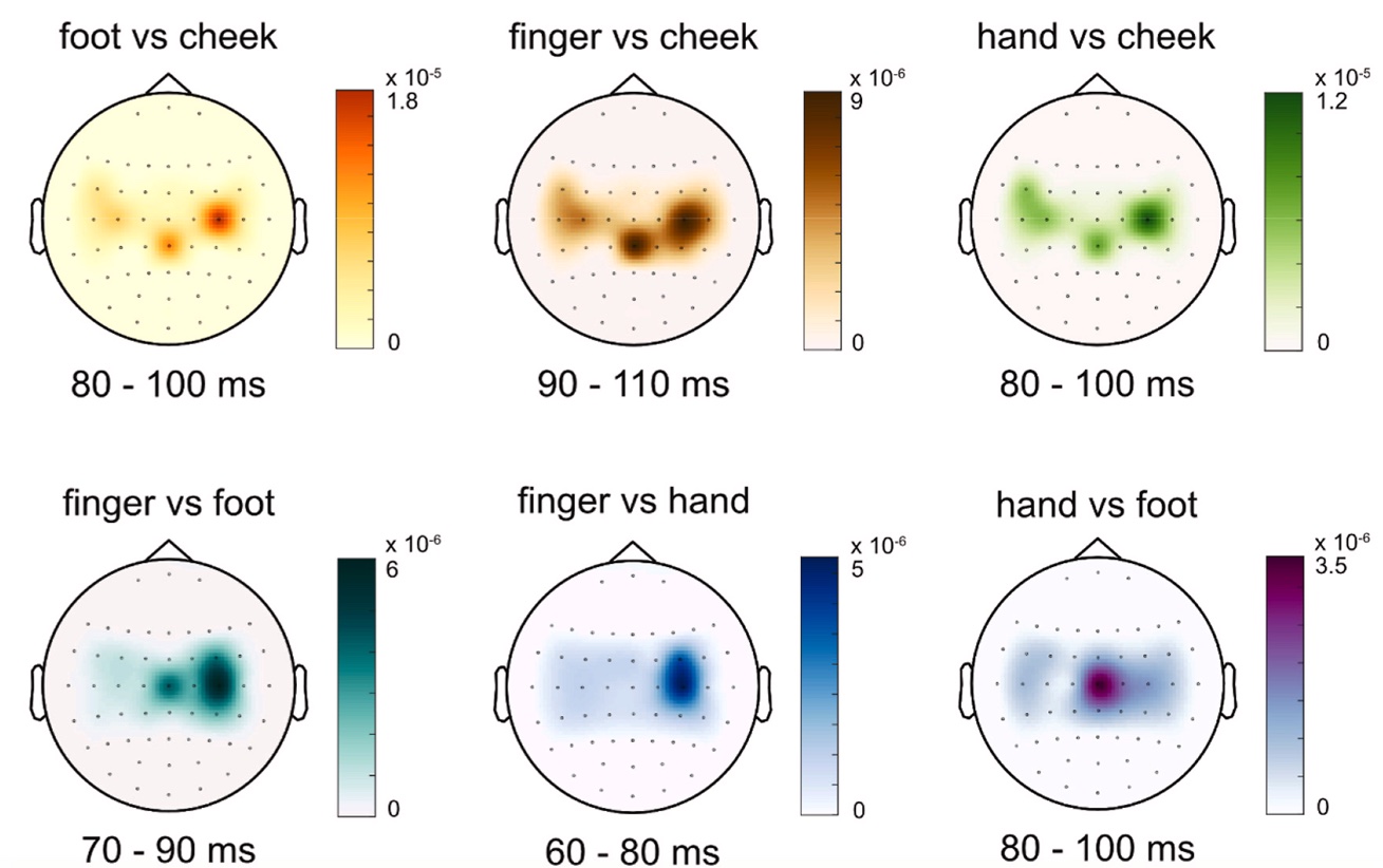 From head to toe: Efficient somatosensory mapping with fast stimulation and multivariate pattern analysis