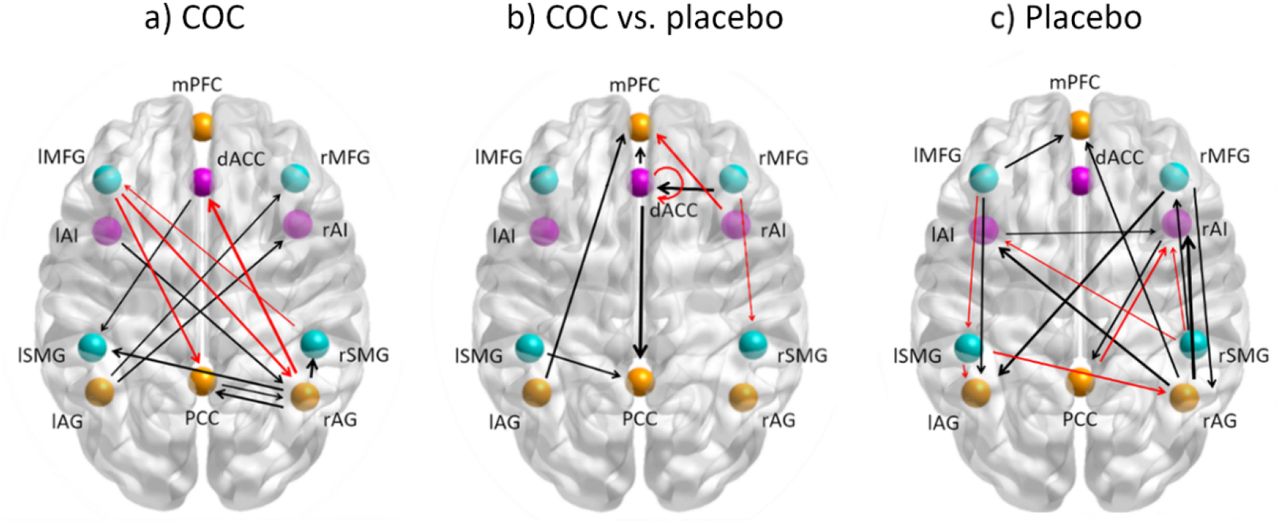 New Preprint published